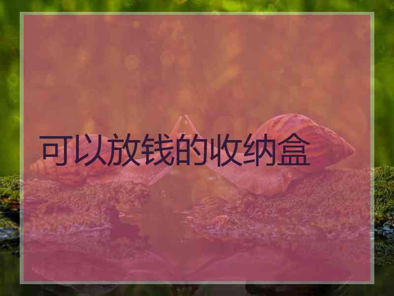 可以放钱的收纳盒