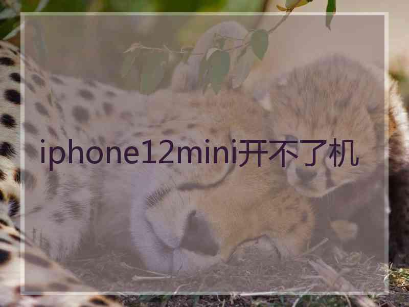 iphone12mini开不了机