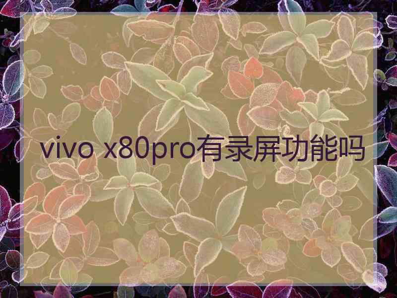 vivo x80pro有录屏功能吗