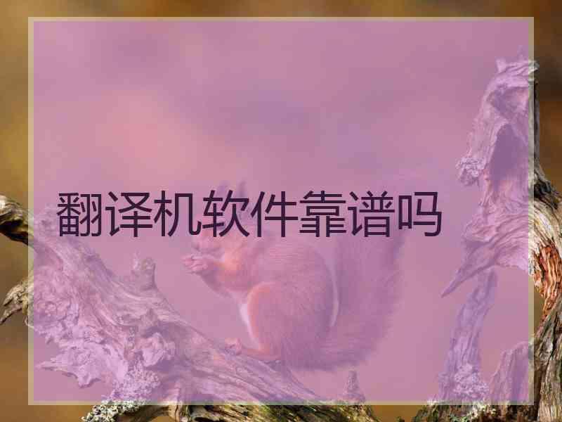 翻译机软件靠谱吗