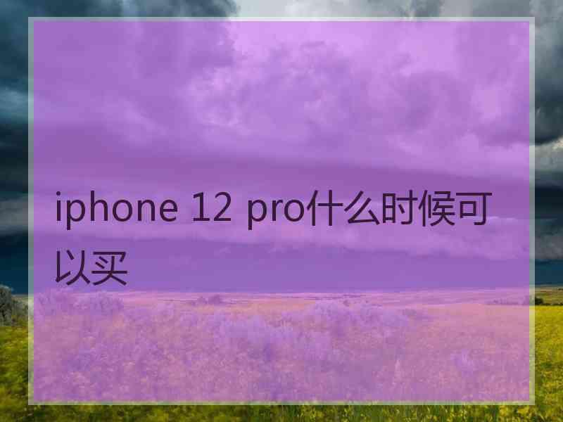 iphone 12 pro什么时候可以买