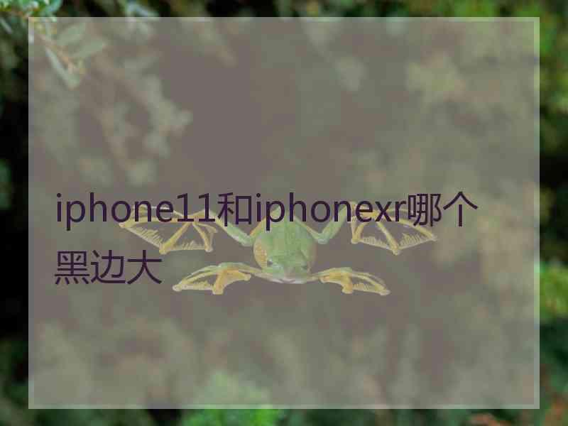 iphone11和iphonexr哪个黑边大