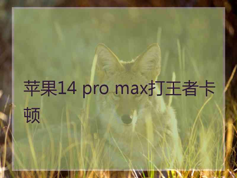 苹果14 pro max打王者卡顿