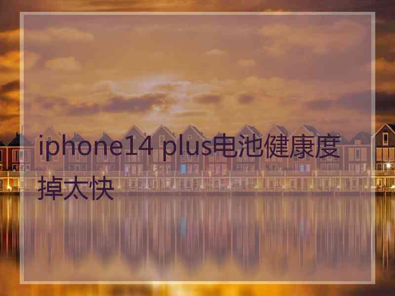 iphone14 plus电池健康度掉太快