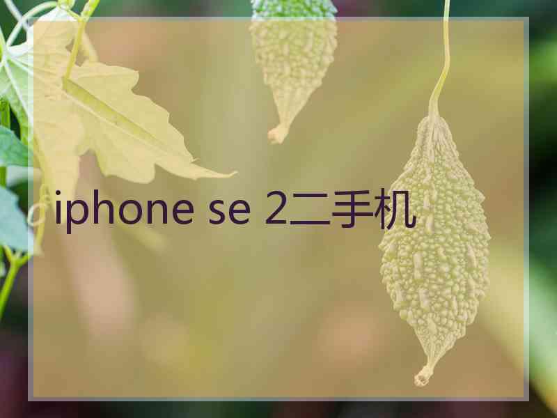 iphone se 2二手机