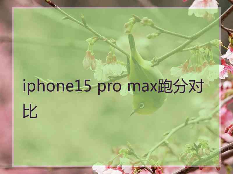 iphone15 pro max跑分对比