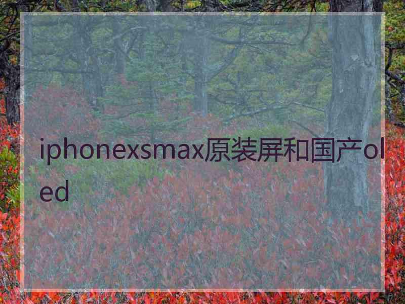 iphonexsmax原装屏和国产oled