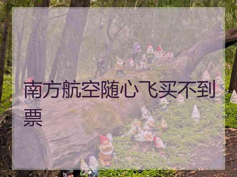 南方航空随心飞买不到票