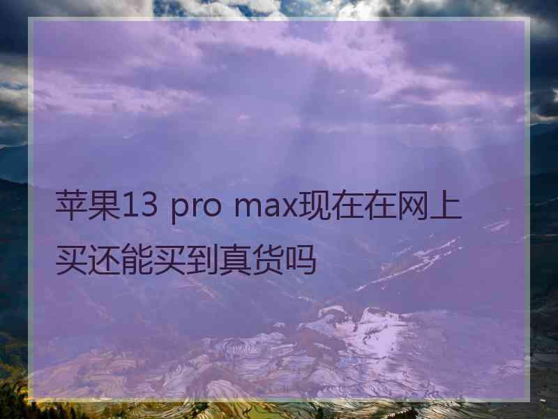 苹果13 pro max现在在网上买还能买到真货吗