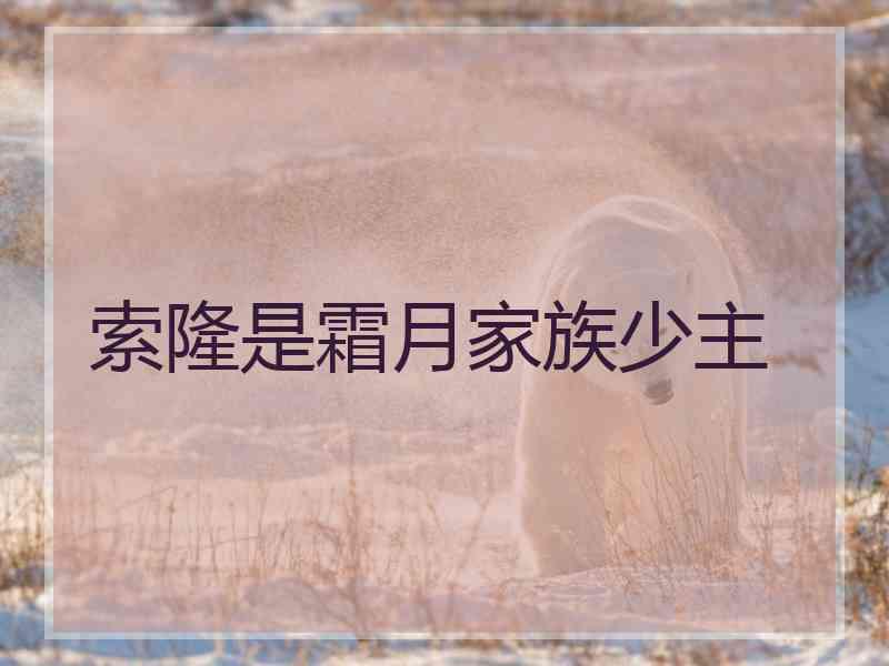 索隆是霜月家族少主