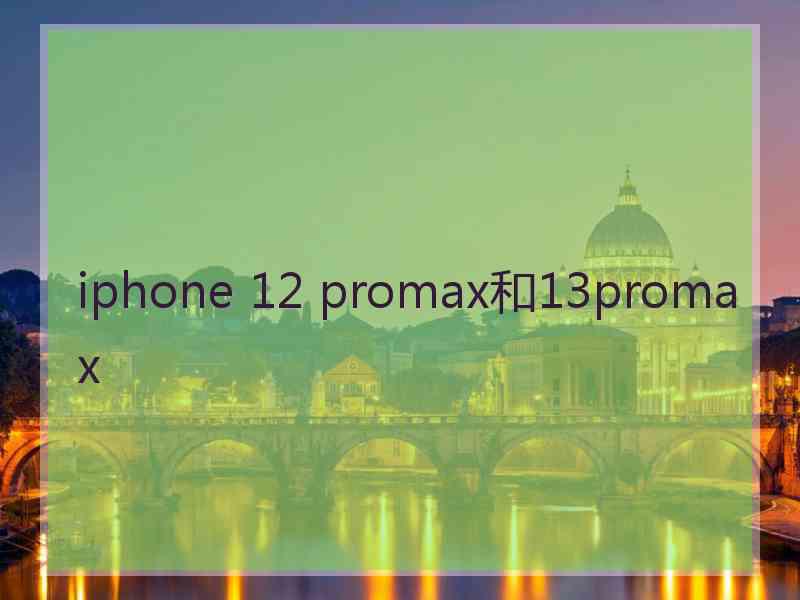 iphone 12 promax和13promax