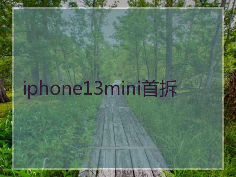 iphone13mini首拆