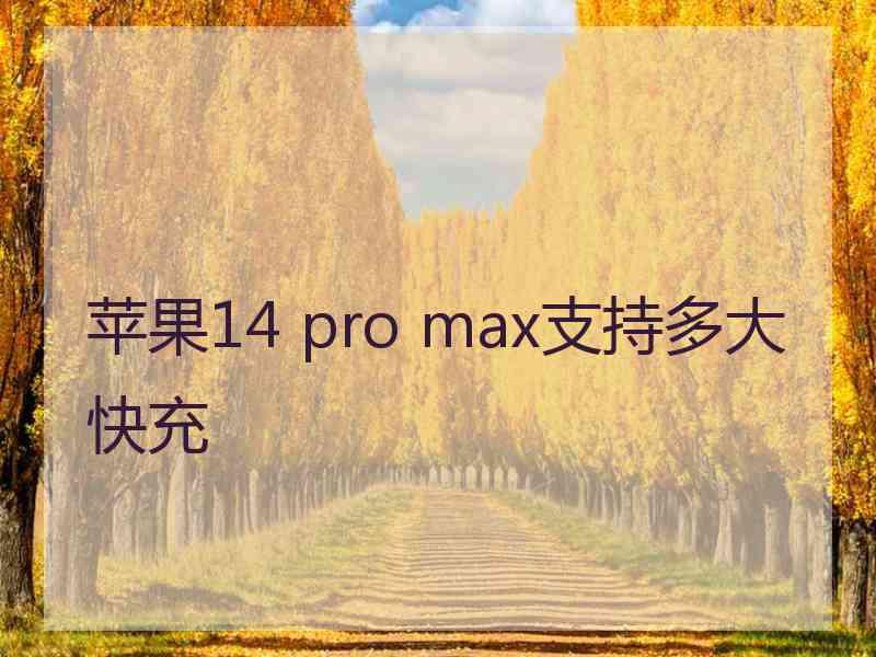 苹果14 pro max支持多大快充