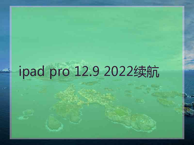 ipad pro 12.9 2022续航