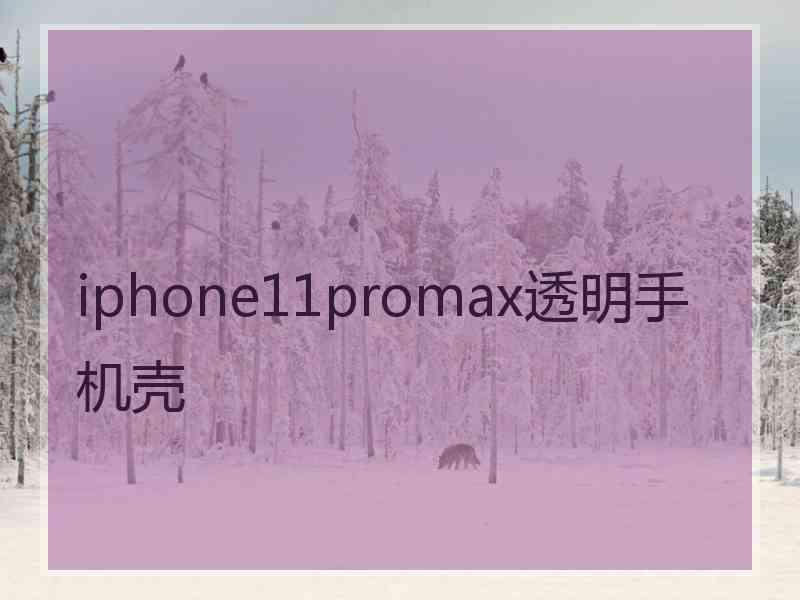 iphone11promax透明手机壳