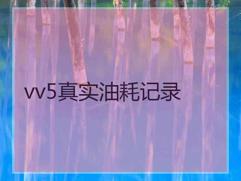 vv5真实油耗记录