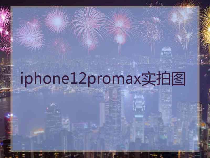 iphone12promax实拍图