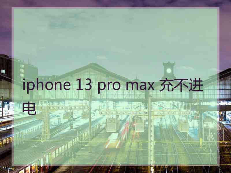 iphone 13 pro max 充不进电