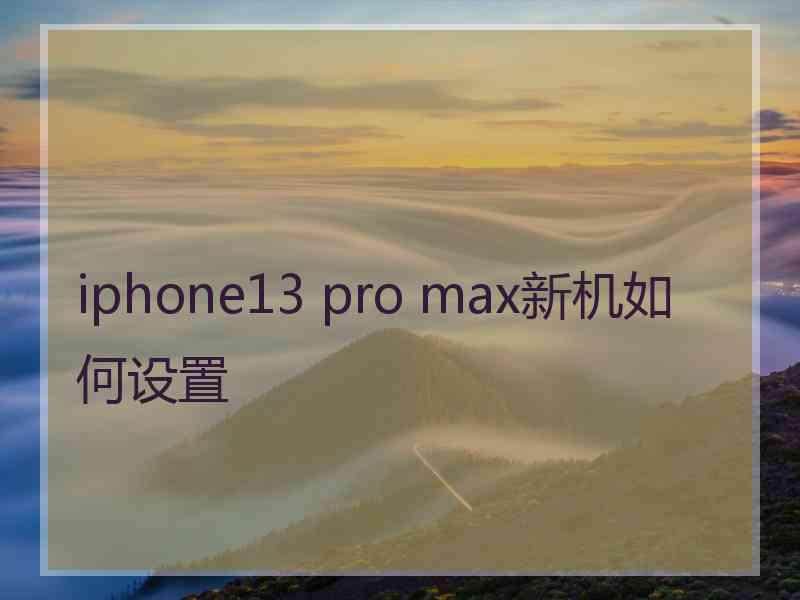 iphone13 pro max新机如何设置