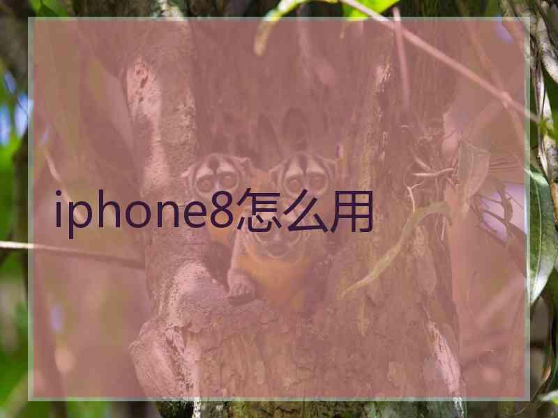 iphone8怎么用