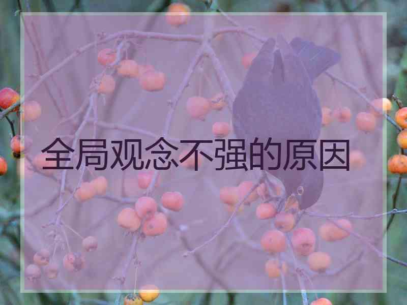 全局观念不强的原因