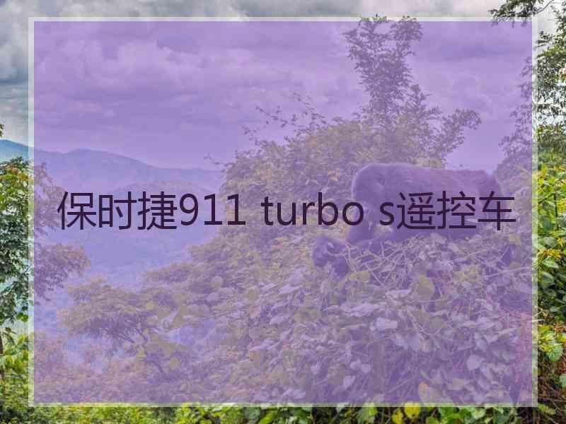 保时捷911 turbo s遥控车