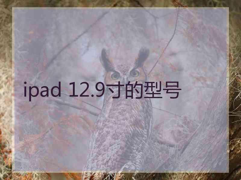 ipad 12.9寸的型号