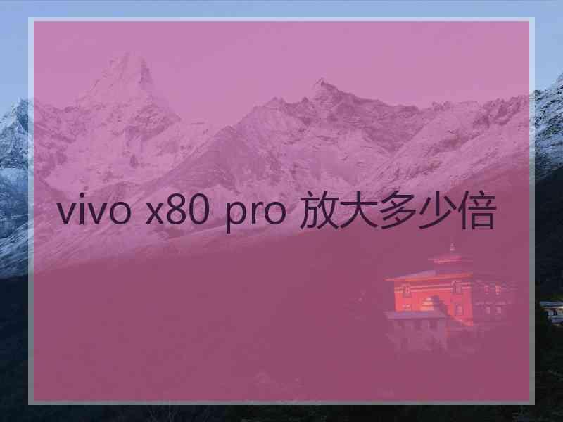 vivo x80 pro 放大多少倍