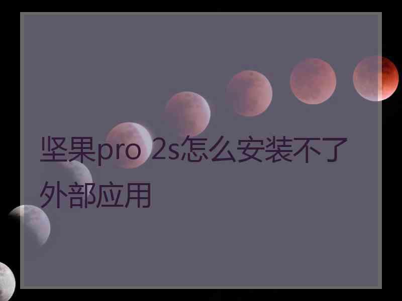 坚果pro 2s怎么安装不了外部应用