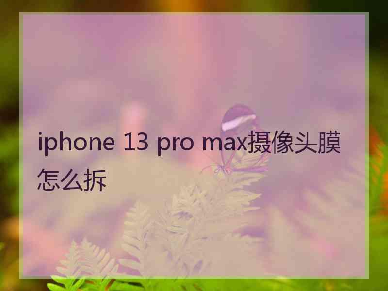 iphone 13 pro max摄像头膜怎么拆