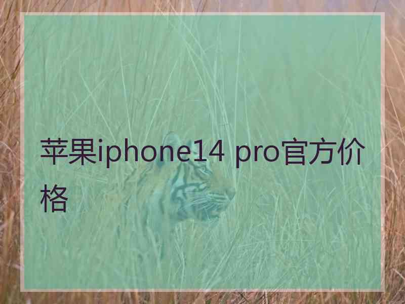 苹果iphone14 pro官方价格