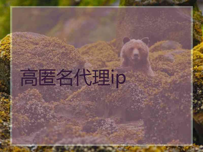 高匿名代理ip