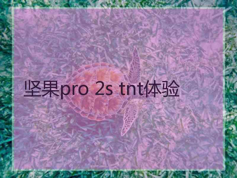 坚果pro 2s tnt体验