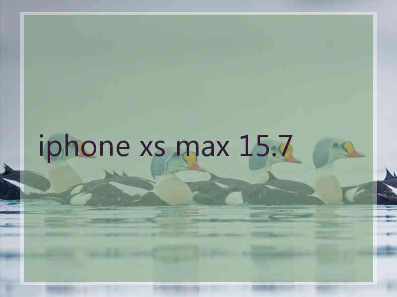 iphone xs max 15.7