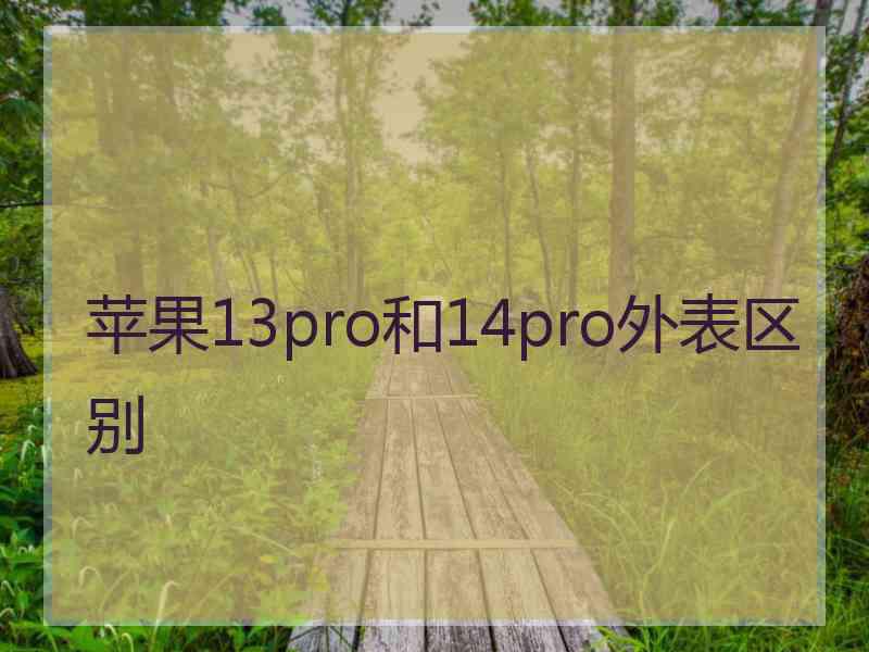 苹果13pro和14pro外表区别