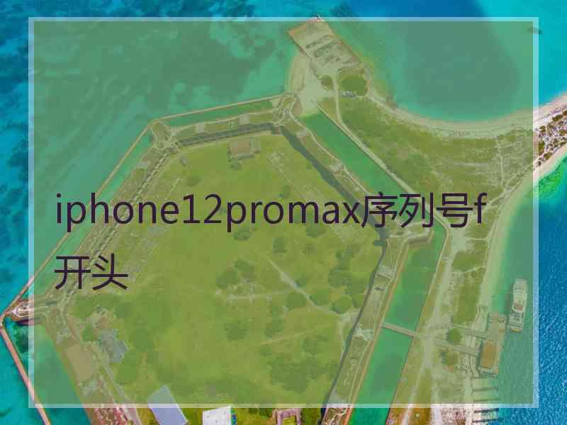 iphone12promax序列号f开头