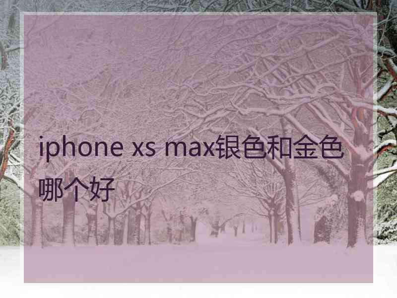 iphone xs max银色和金色哪个好