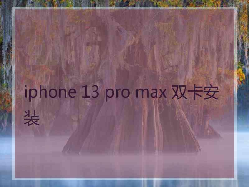 iphone 13 pro max 双卡安装