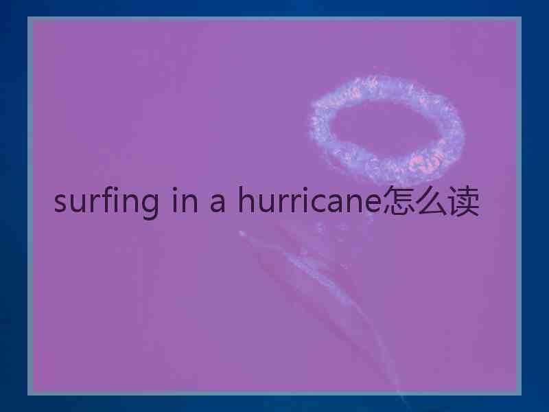 surfing in a hurricane怎么读