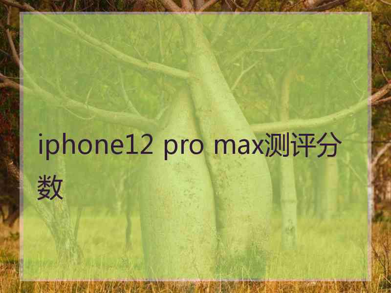 iphone12 pro max测评分数