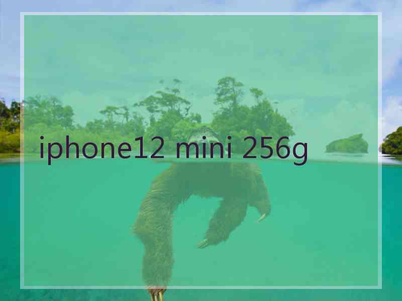 iphone12 mini 256g