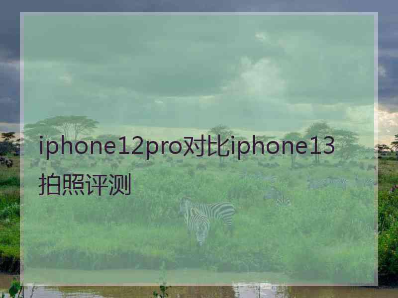 iphone12pro对比iphone13拍照评测