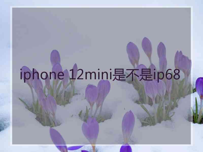 iphone 12mini是不是ip68