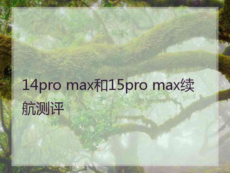 14pro max和15pro max续航测评