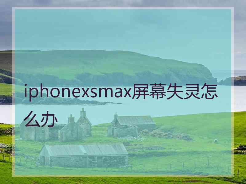 iphonexsmax屏幕失灵怎么办