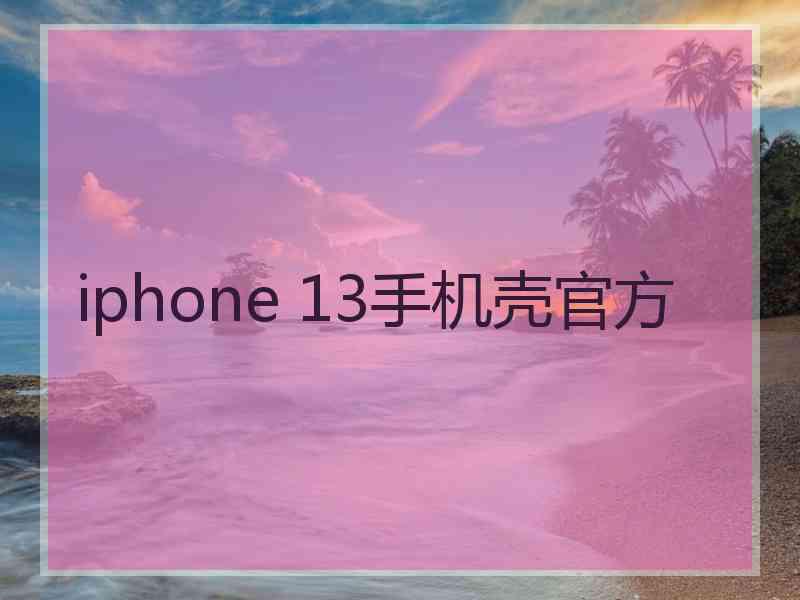 iphone 13手机壳官方