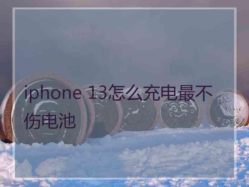 iphone 13怎么充电最不伤电池