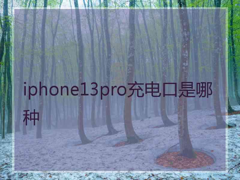 iphone13pro充电口是哪种