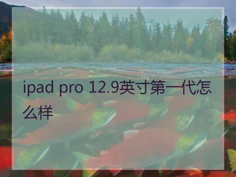 ipad pro 12.9英寸第一代怎么样