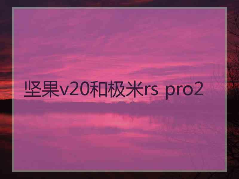 坚果v20和极米rs pro2